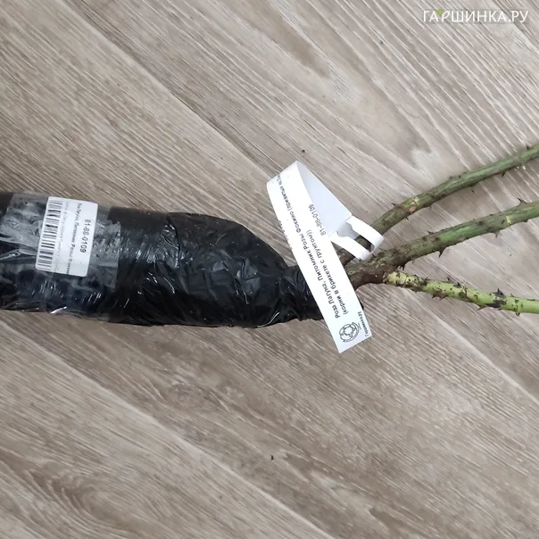 превью изображения отзыва