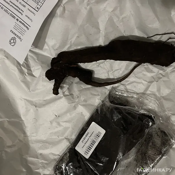 превью изображения отзыва