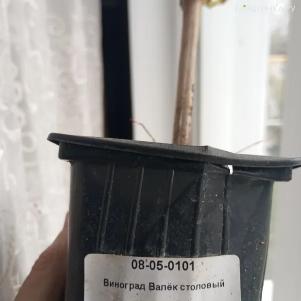 превью изображения отзыва