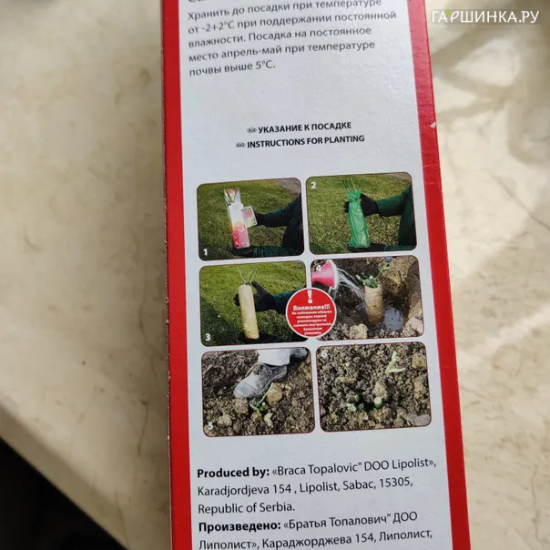 превью изображения отзыва