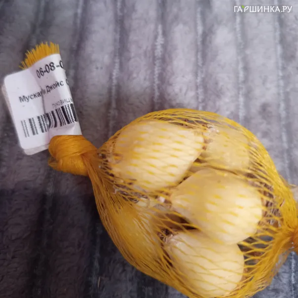 превью изображения отзыва