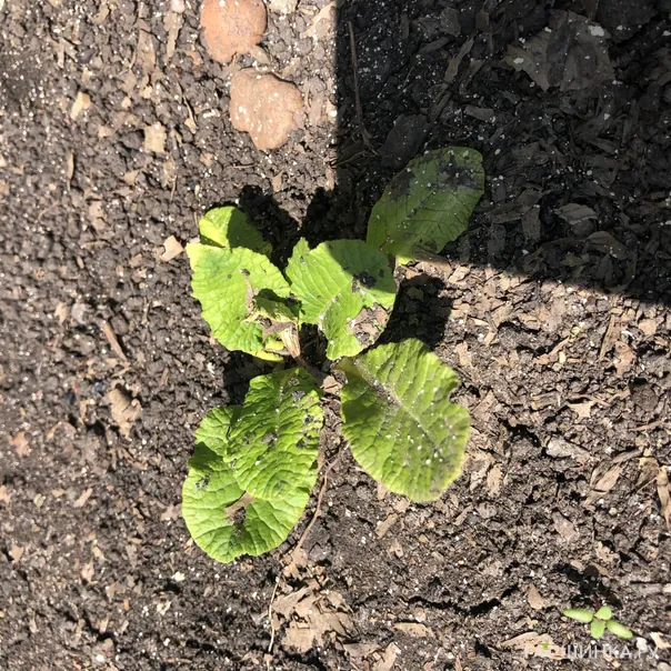 превью изображения отзыва