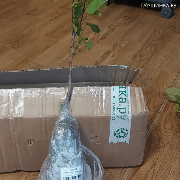 превью изображения отзыва