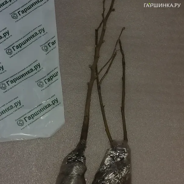 превью изображения отзыва