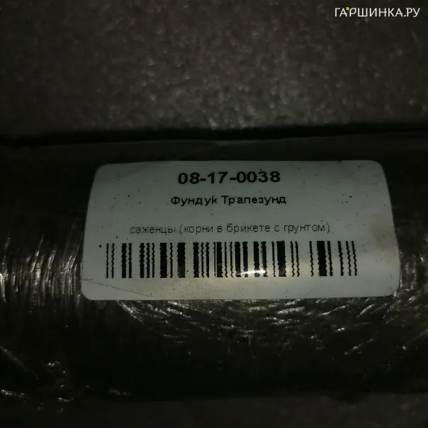 превью изображения отзыва