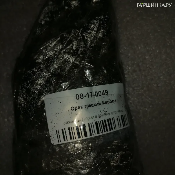 превью изображения отзыва