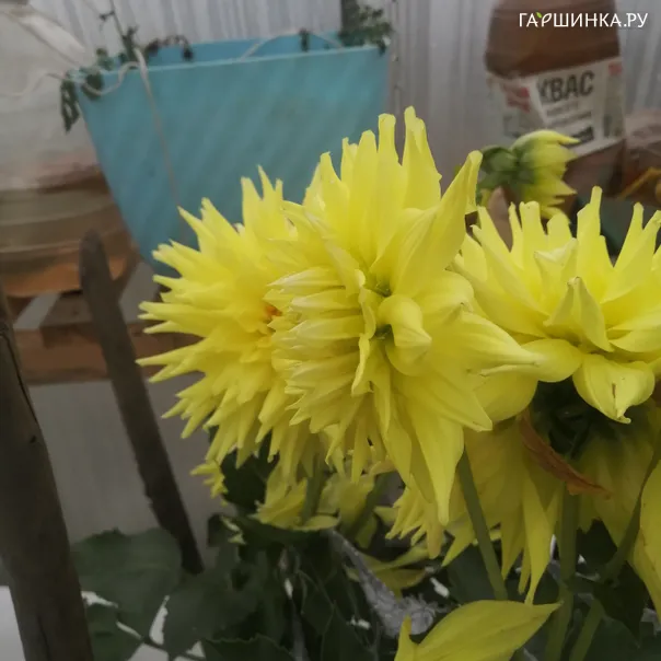 превью изображения отзыва