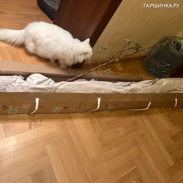 превью изображения отзыва