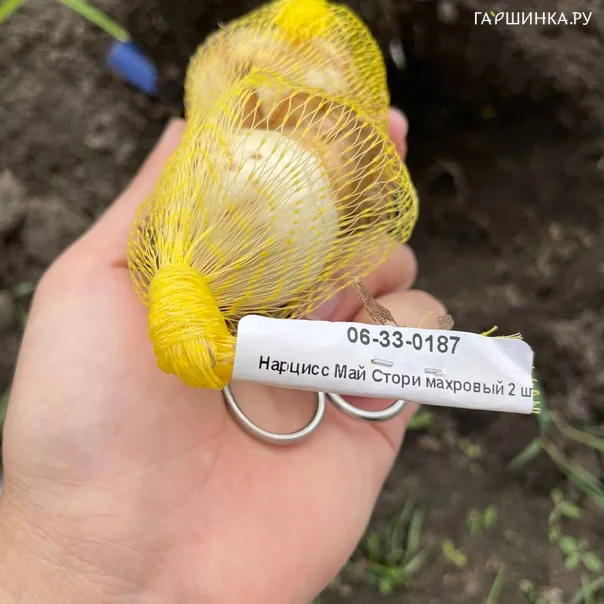 превью изображения отзыва