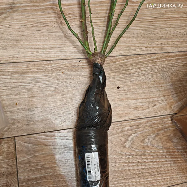 превью изображения отзыва