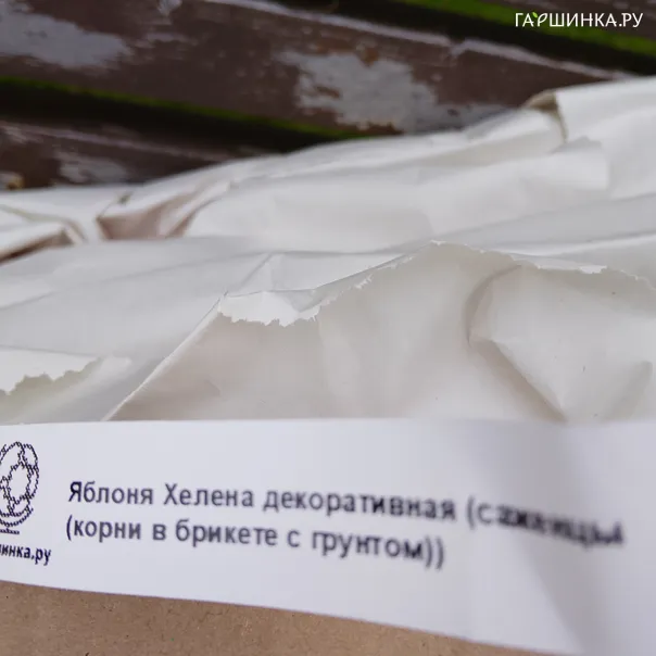 превью изображения отзыва