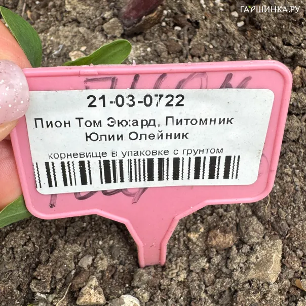 превью изображения отзыва