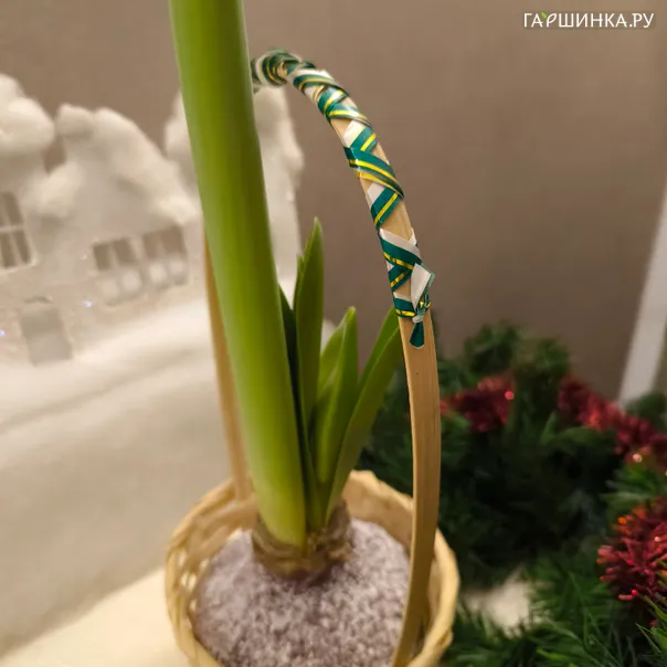 превью изображения отзыва