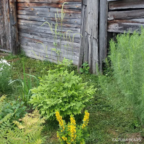 превью изображения отзыва