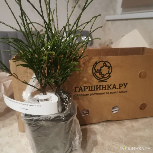 превью изображения отзыва