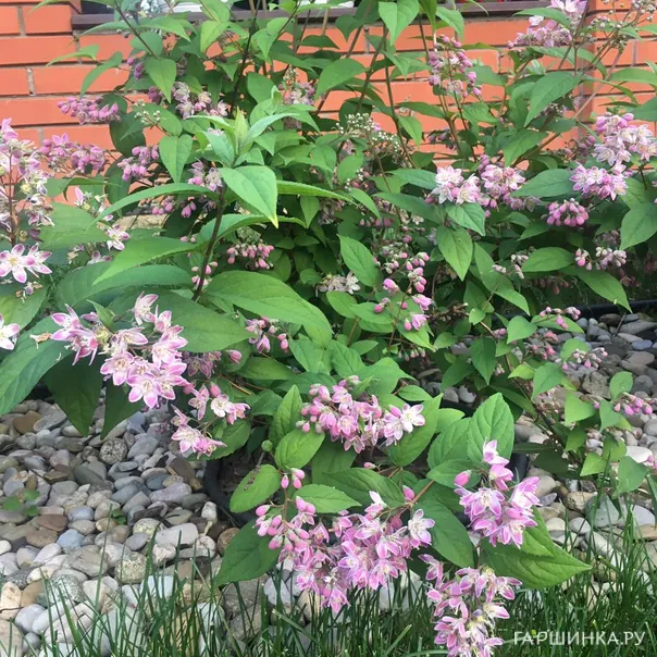 превью изображения отзыва