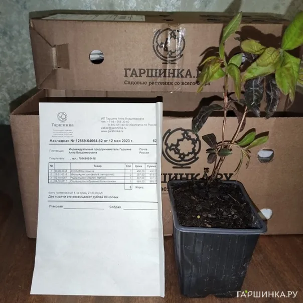 превью изображения отзыва