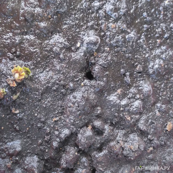 превью изображения отзыва