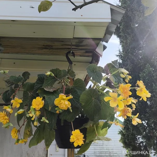 превью изображения отзыва