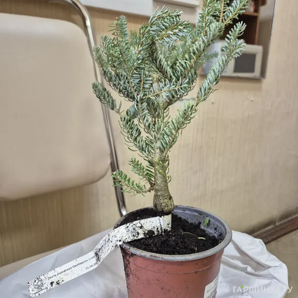 превью изображения отзыва