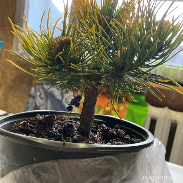 превью изображения отзыва