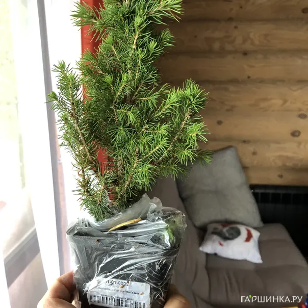 превью изображения отзыва