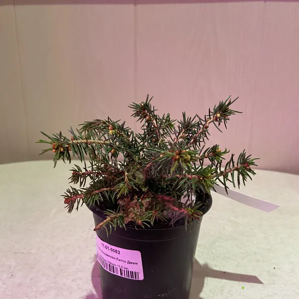 превью изображения отзыва