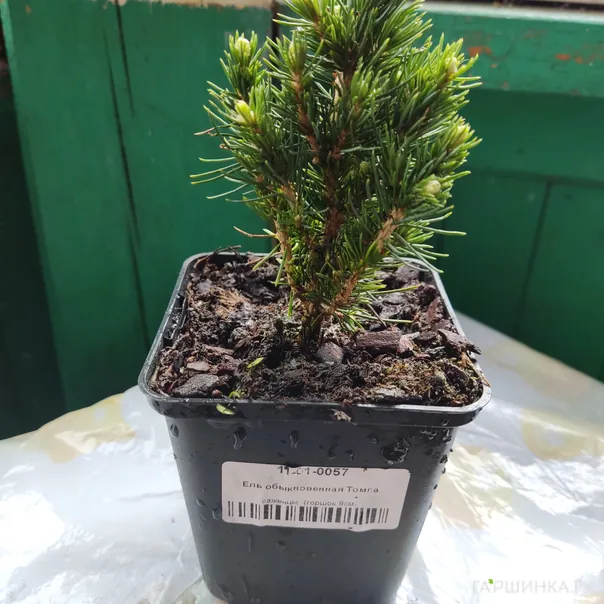 превью изображения отзыва