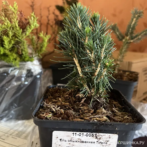 превью изображения отзыва