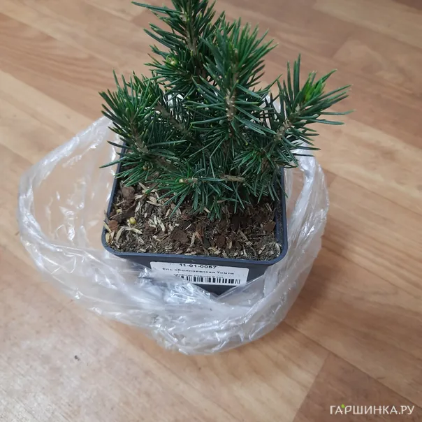 превью изображения отзыва