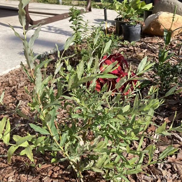 превью изображения отзыва