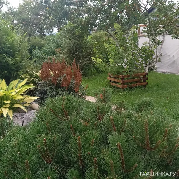 превью изображения отзыва