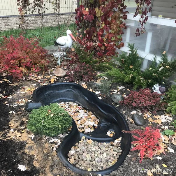 превью изображения отзыва