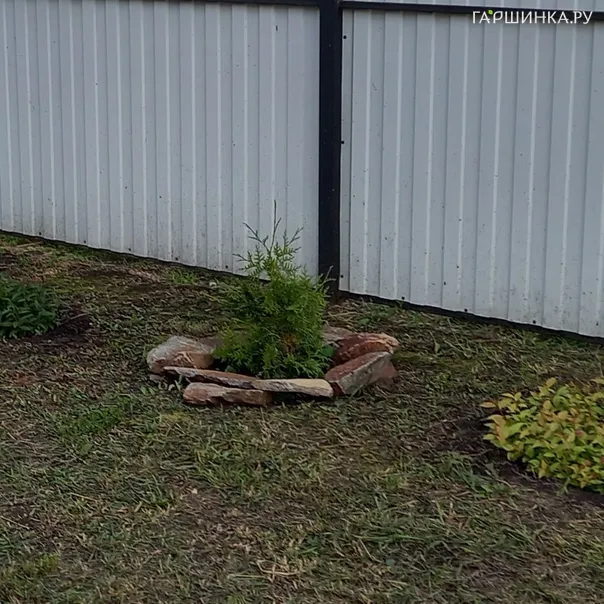 превью изображения отзыва