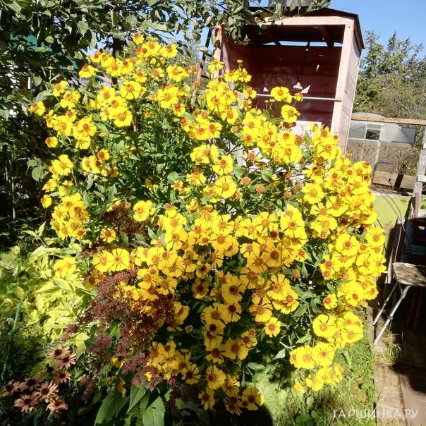 превью изображения отзыва