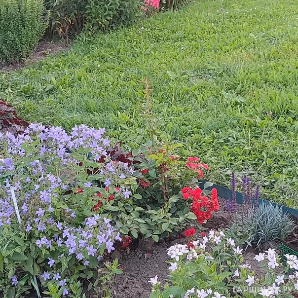 превью изображения отзыва