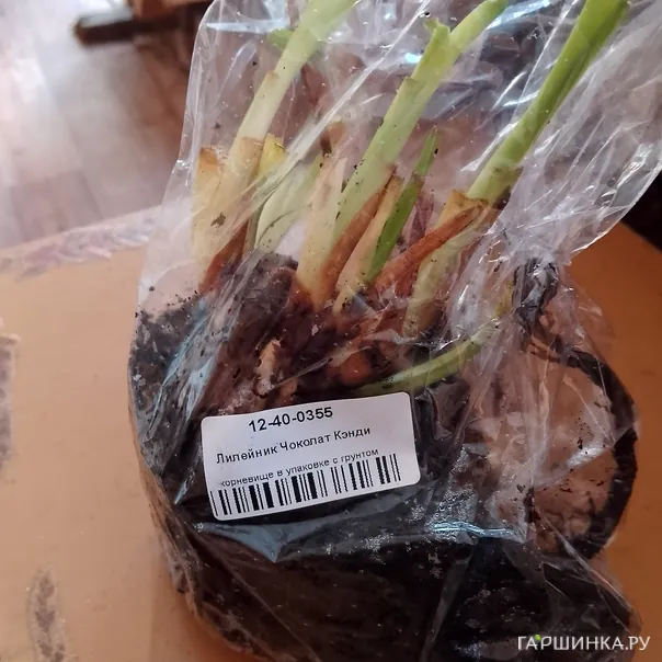 превью изображения отзыва