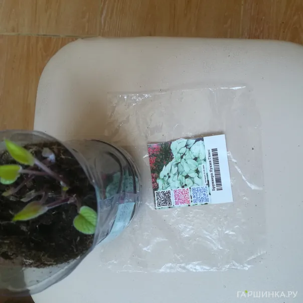 превью изображения отзыва