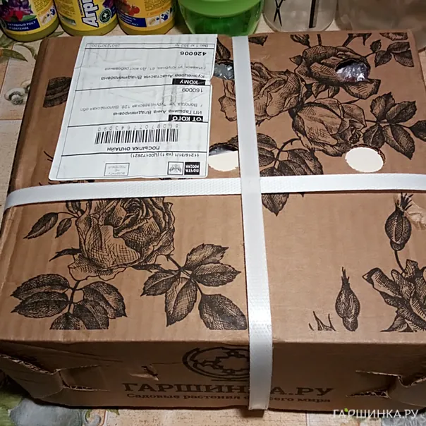 превью изображения отзыва