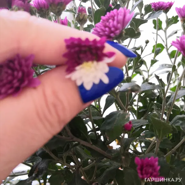 превью изображения отзыва