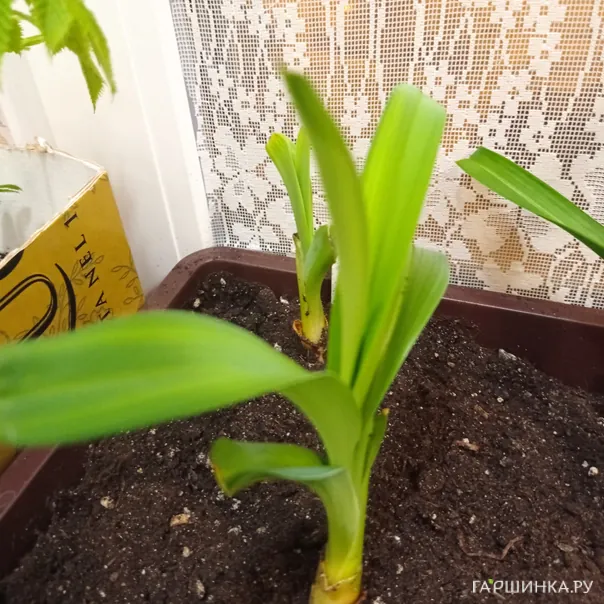 превью изображения отзыва