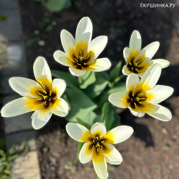 превью изображения отзыва