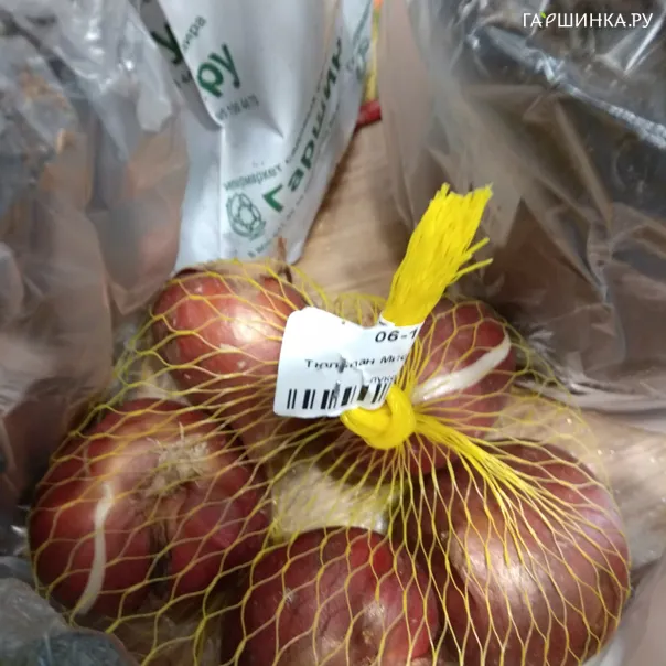 превью изображения отзыва