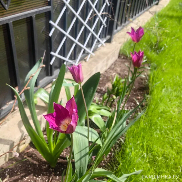 превью изображения отзыва