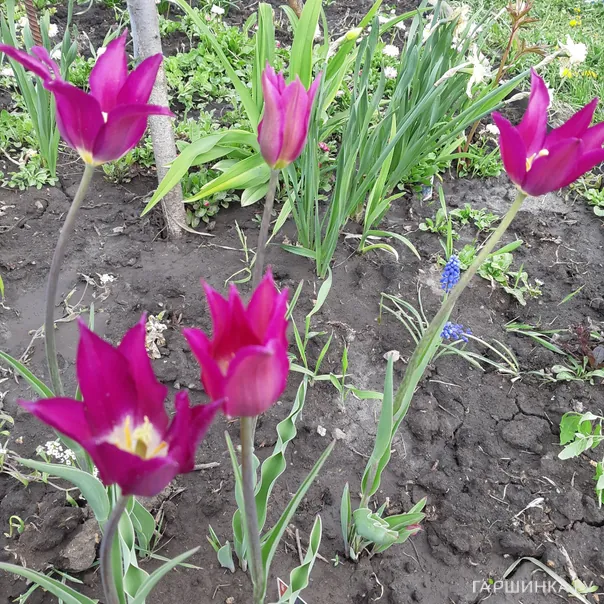 превью изображения отзыва