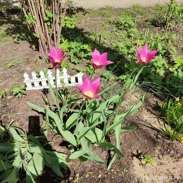 превью изображения отзыва