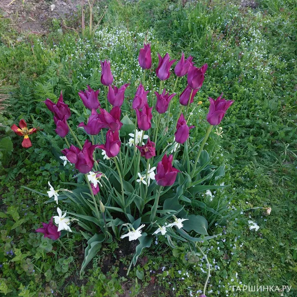 превью изображения отзыва