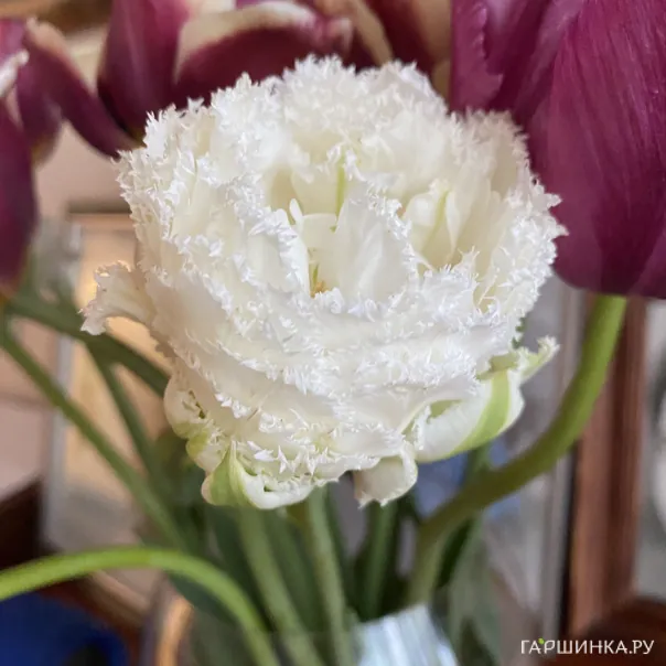 превью изображения отзыва