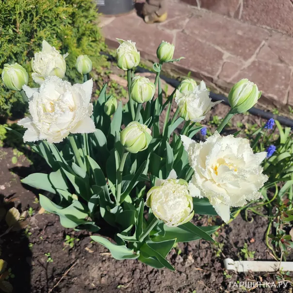 превью изображения отзыва