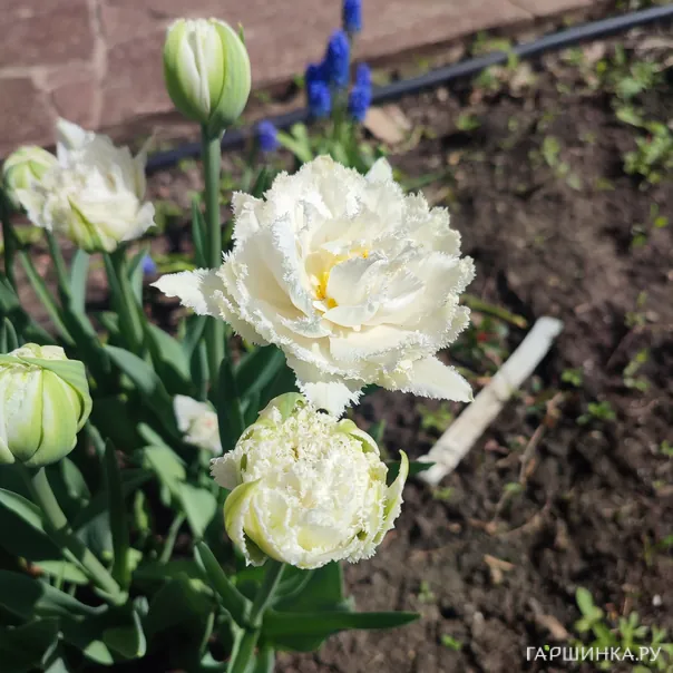 превью изображения отзыва